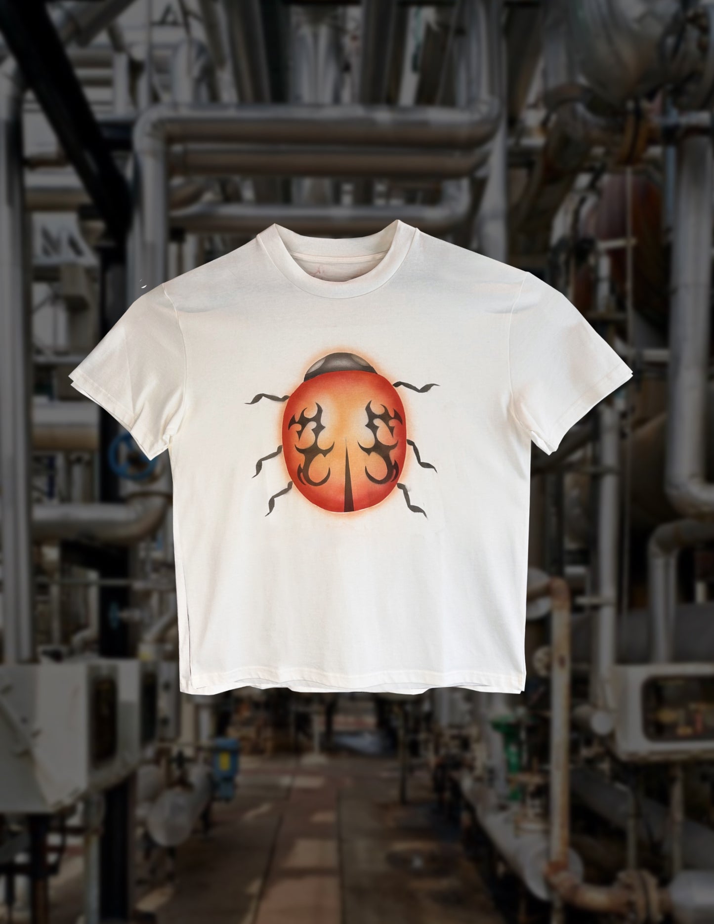 Ladybug tee